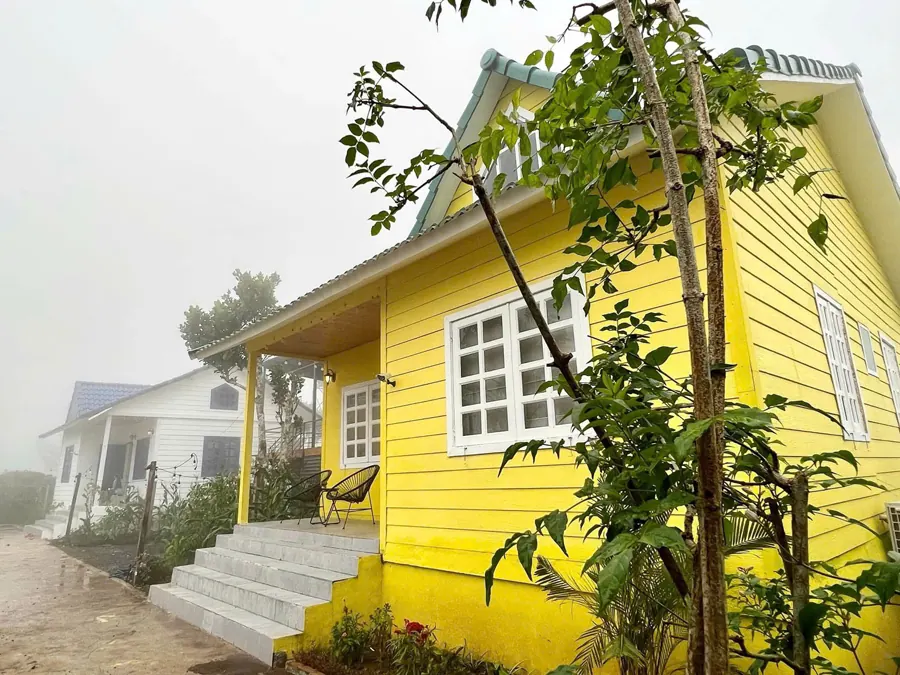 Villa vàng trong sương sớm
