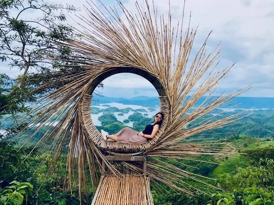 Góc chụp hình tổ chim nhìn ra hồ